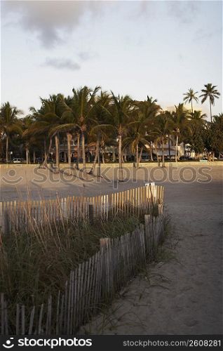 Sunset on Miami beach