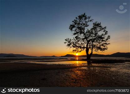 sunset on the beach and colorful sky with tree and sunstar at Takua Thung, Phangnga, Southern of Thailand