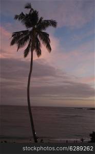 Sunset on the beach in Unawatuna, Sri Lanka