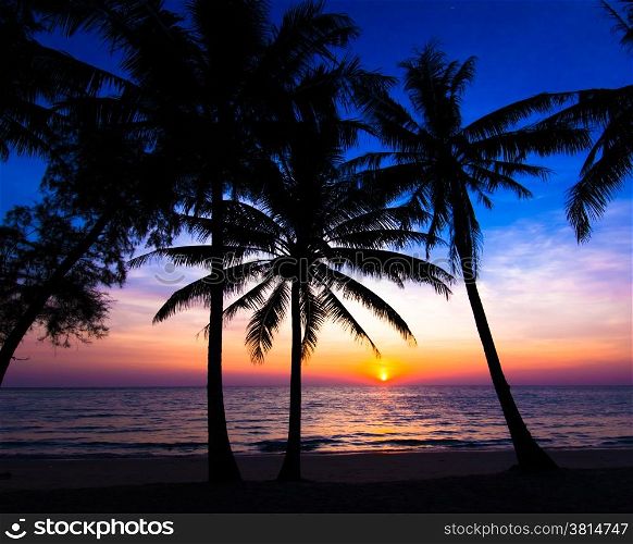 sunset on the beach. Palm trees silhouette on sunset tropical beach
