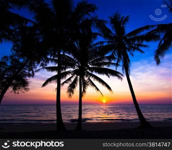 sunset on the beach. Palm trees silhouette on sunset tropical beach