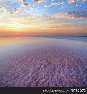 Sunset on the Genichesk pink extremely salty lake  colored by microalgae with crystalline salt depositions , Ukraine.