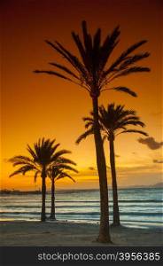 Sunset on the sandy beach in Mallorca