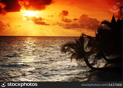 sunset on the sea beach