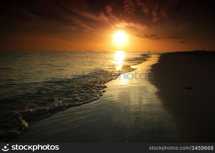 sunset on the sea beach