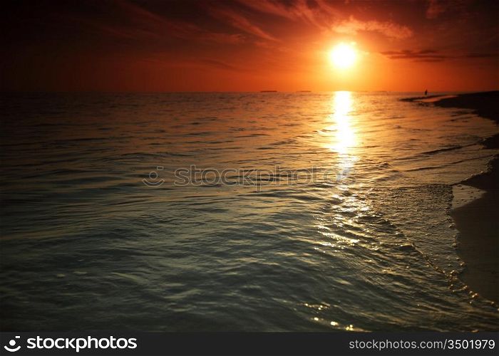 sunset on the sea beach