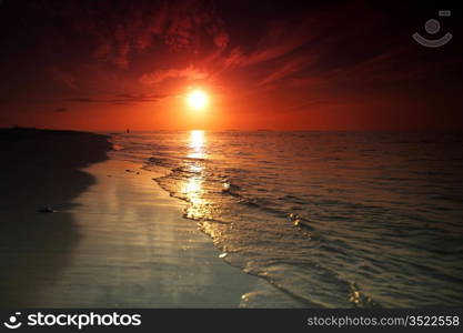 sunset on the sea beach