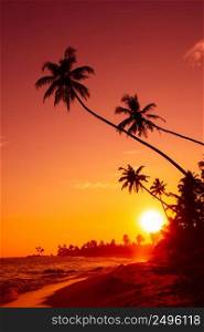 Sunset on tropical beach with palm trees silhouettes and shining sun circle