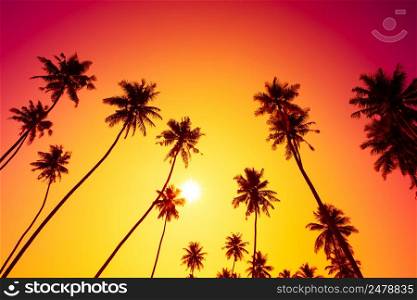 Sunset on tropical island beach with palm trees silhouettes
