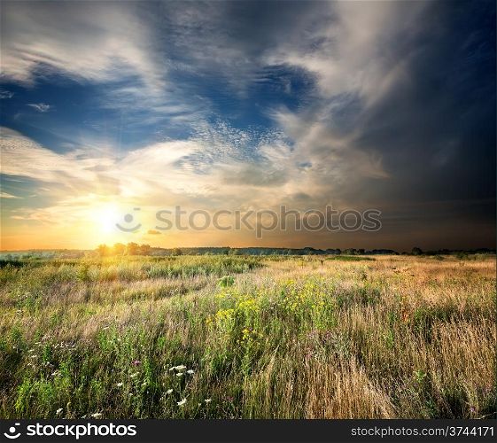 Sunset over a field of meadow grass