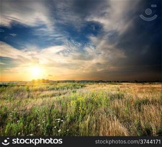 Sunset over a field of meadow grass