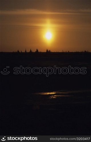 Sunset over a forest, Churchill, Manitoba, Canada
