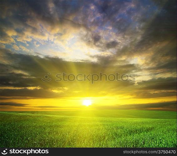 sunset over agricultural green field