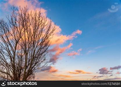 Sunset over forest with dramatic sky and colorful clouds. Sunset over forest with dramatic sky