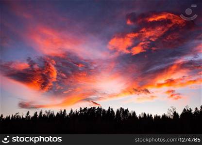 Sunset over forest with dramatic sky and colorful clouds. Sunset over forest with dramatic sky