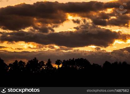 Sunset over forest with dramatic sky and colorful dark clouds. sky background. Sunset over forest with dramatic sky and colorful dark clouds