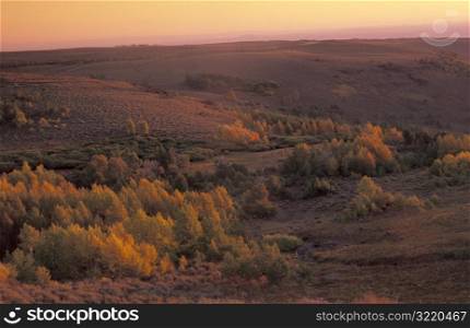 Sunset Over Hills and Aspens