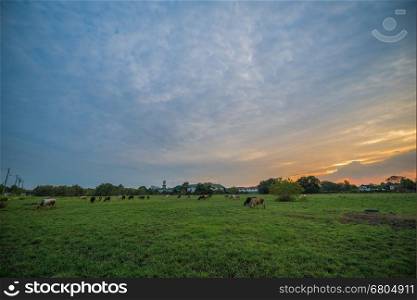 Sunset over Idyllic Farmland Landscape