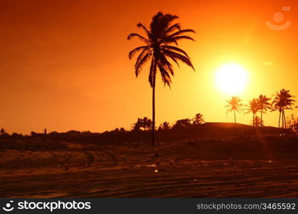 Sunset over landscape