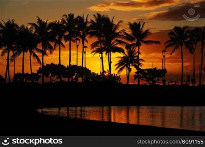 sunset over palm trees and Lagoon beach from Waikiki Beach, Honolulu, Oahu, Hawaii