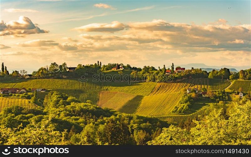 Sunset over South Styria vineyard landscape in Steiermark, Austria. Beautiful tranquil destination to visit for famous white wine. Tra. Sunset over South Styria vineyard landscape in Steiermark, Austria.