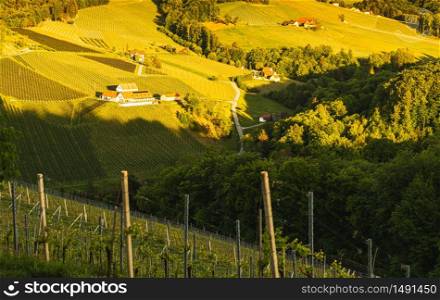 Sunset over South Styria vineyard landscape in Steiermark, Austria. Beautiful tranquil destination to visit for famous white wine. Tra. Sunset over South Styria vineyard landscape in Steiermark, Austria.