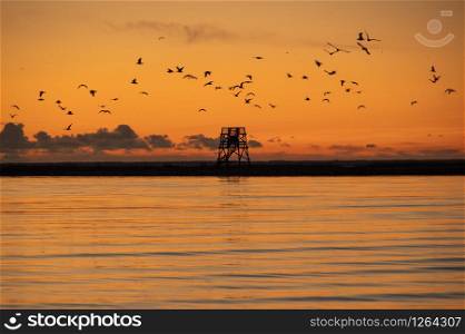 Sunset over the Baltic sea in Parnu coloring water in orange with silhouette of Vana-Parnu bird watching tower on horizon and flock of birds flying over