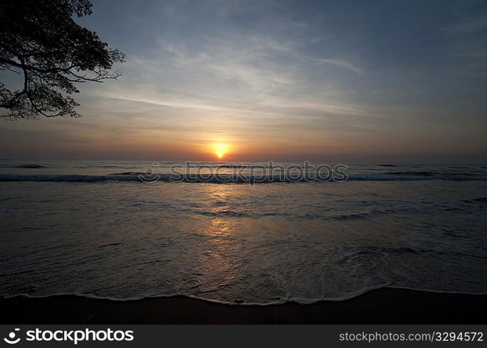 Sunset over the calm ocean at Costa Rica with tree branches in the left side of frame - cool overtones