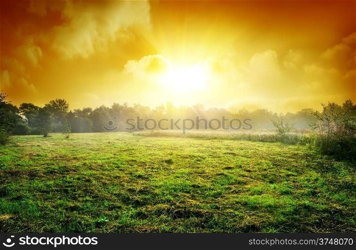 Sunset over the meadow in a forest
