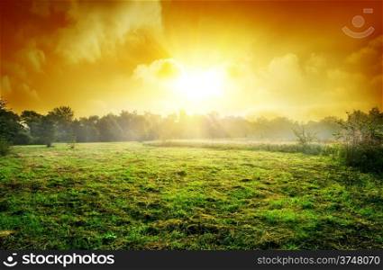 Sunset over the meadow in a forest