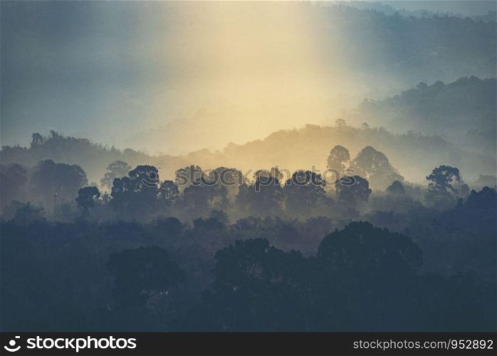sunset over the mountain, view of forest
