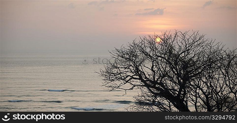 Sunset over the ocean through the trees in Costa Rica