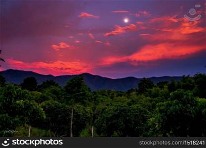 Sunset over the rainforest in red and purple colors. A full moon at the distance. Long exposure photo
