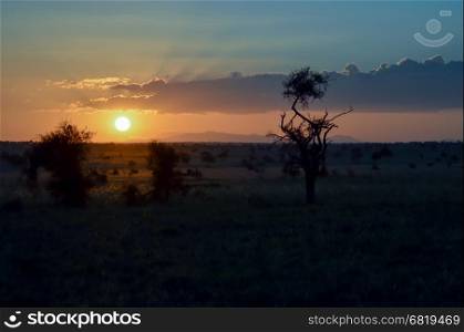 Sunset over the savanna. Sunset over the savanna of Tsavo West Park in Kenya