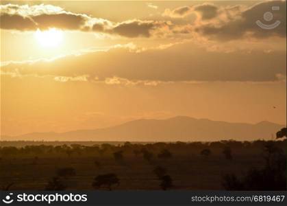 Sunset over the savanna . Sunset over the savanna of West Tsavo Park in Kenya