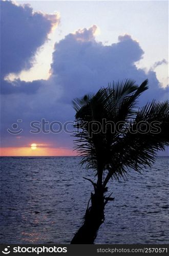 Sunset over the sea, Blackbeard&acute;s Caye, Belize