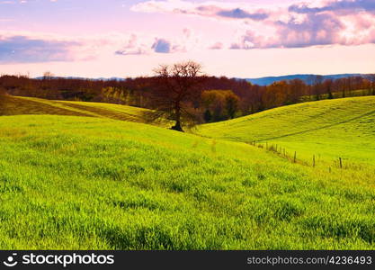 Sunset over the Slopes of the Apennines, Italy