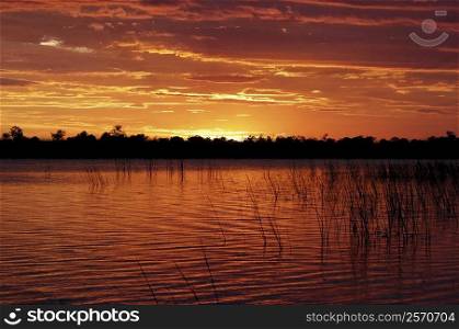Sunset over the swamp, Okavango Delta, Botswana
