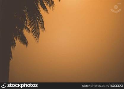 sunset over the tree with copy space, sunset time background