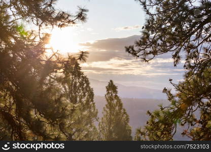 Sunset scene above autumn forest