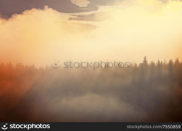 Sunset scene above autumn forest