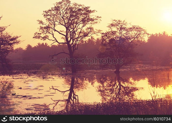 Sunset scene in Sri Lanka