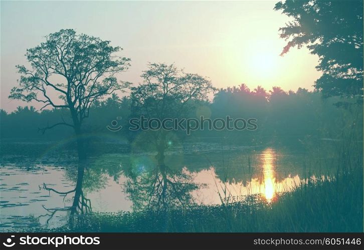 Sunset scene in Sri Lanka