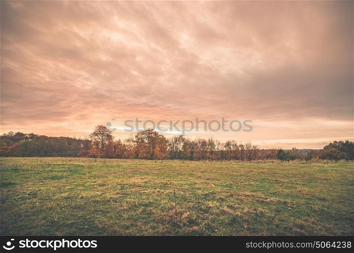 Sunset scenery in a countryside landscape with trees on a field and colorful clouds in the sky