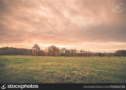 Sunset scenery in a countryside landscape with trees on a field and colorful clouds in the sky