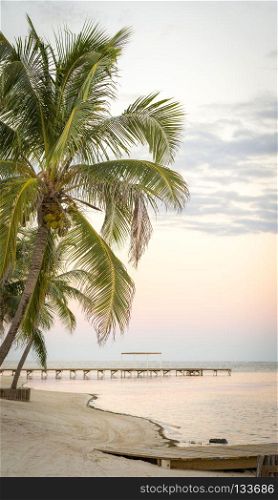 Sunset Serenity On Tropical Beach. Sunset serenity over palmtrees on a tropical beach