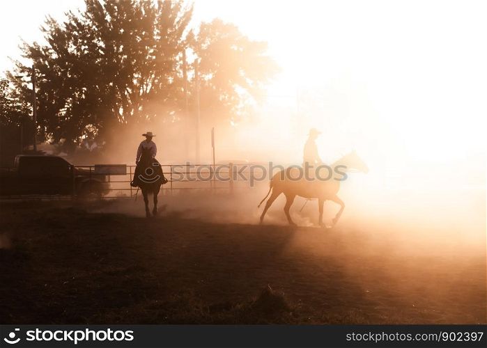 Sunset Silhouette Horse Back Rider Glow Equestrian Rodeo Dusty Arena Riding