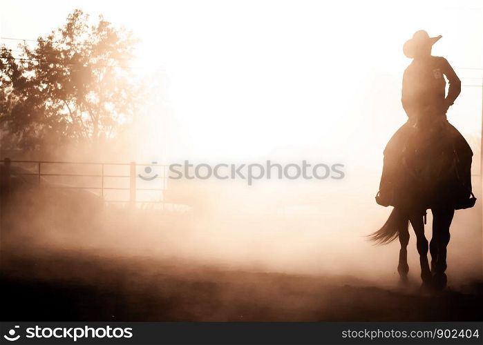 Sunset Silhouette Horse Back Rider Glow Equestrian Rodeo Dusty Arena Riding