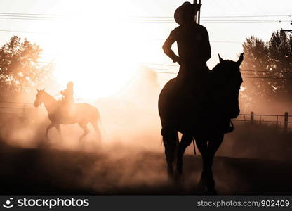 Sunset Silhouette Horse Back Rider Glow Equestrian Rodeo Dusty Arena Riding