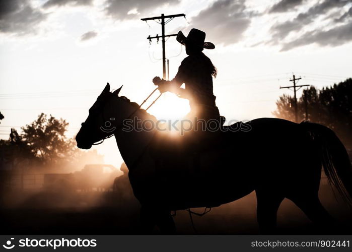 Sunset Silhouette Horse Back Rider Glow Equestrian Rodeo Dusty Arena Riding